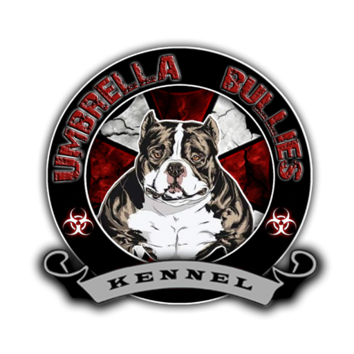 Logo do canil